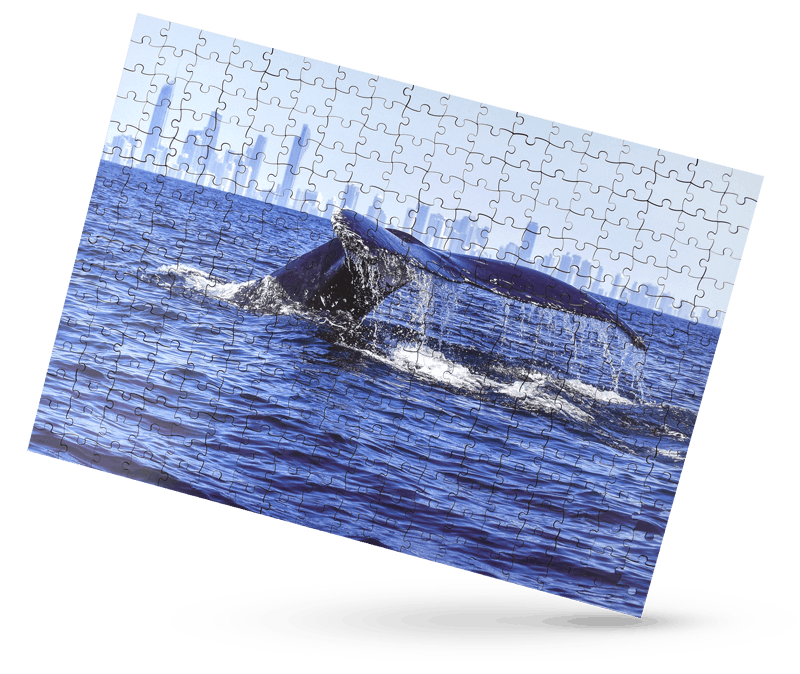 Whale-c Whale-c